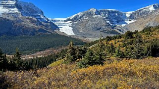 Athabasca Glacier - Wilcox Pass Trail - Parc National de Jasper Canada 2023